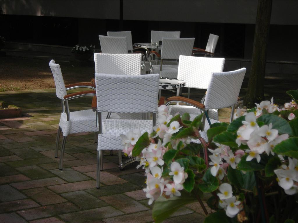 Hotel Plutone Cervia Ngoại thất bức ảnh
